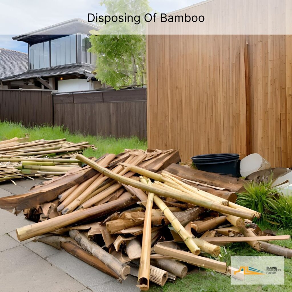 How to Dispose of Bamboo and Scrap Wood in Tampa